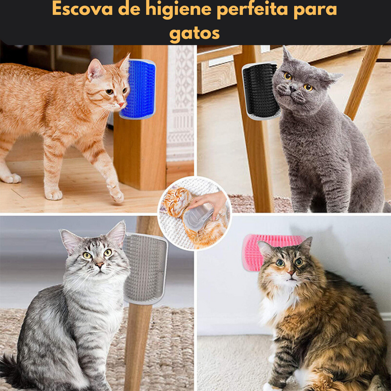 Massageador para gatos