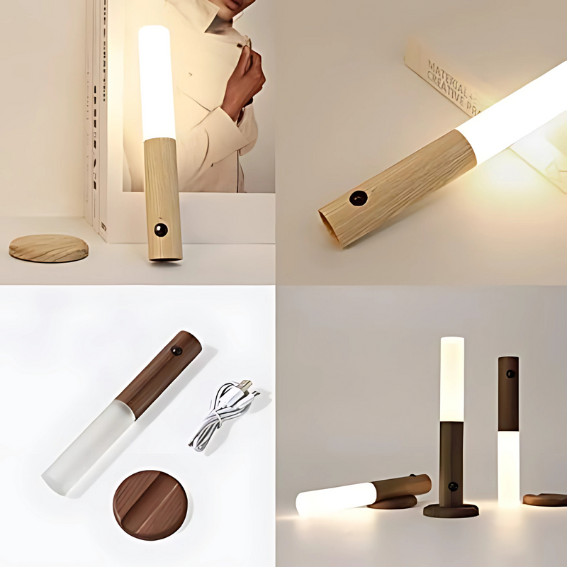 Luz de indução recarregável