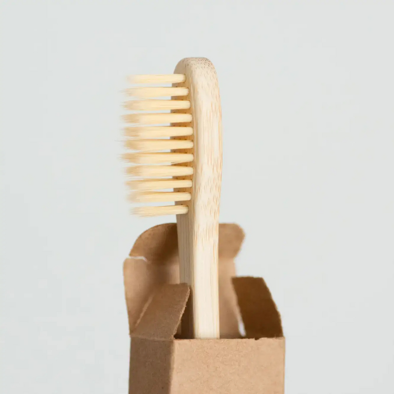 Conjunto de escovas de bambu