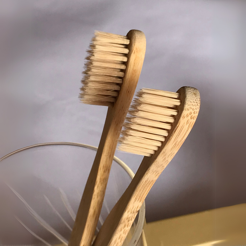 Conjunto de escovas de bambu