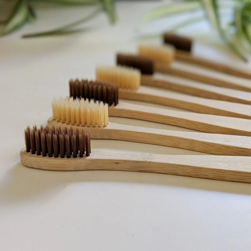Conjunto de escovas de bambu