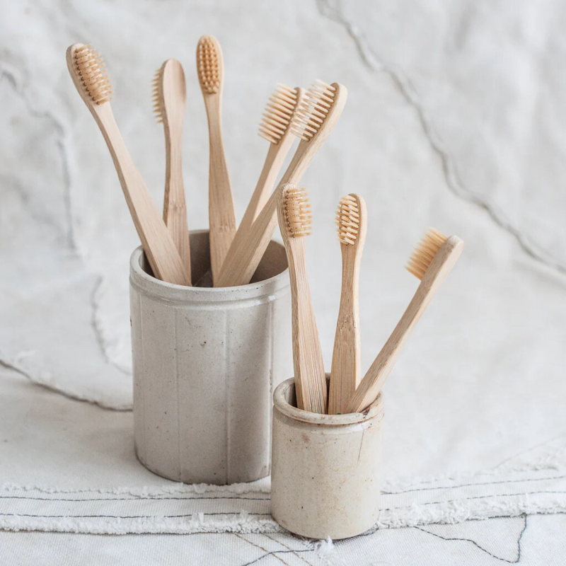 Conjunto de escovas de bambu