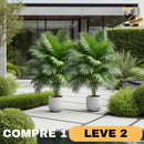 OasisInfinity™ - COMPRE 1 LEVE 2 - Palmeiras artificiais