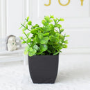 GreenInfinity™ - Planta Decorativa Artificial Premium