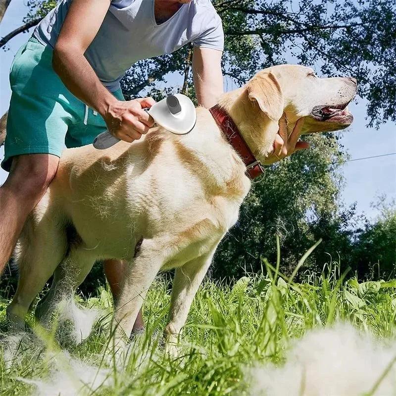 Pente Removedor de pelos para cães e gatos