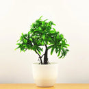 BonsaiInfinity™ 🌿 - Bonsais artificiais premium para decoração sofisticada - Infinitum Express