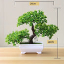 BonsaiInfinity™ 🌿 - Bonsais artificiais premium para decoração sofisticada - Infinitum Express