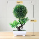 BonsaiInfinity™ 🌿 - Bonsais artificiais premium para decoração sofisticada - Infinitum Express