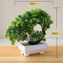BonsaiInfinity™ 🌿 - Bonsais artificiais premium para decoração sofisticada - Infinitum Express
