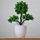 BonsaiInfinity™ 🌿 - Bonsais artificiais premium para decoração sofisticada - Infinitum Express