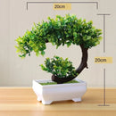 BonsaiInfinity™ 🌿 - Bonsais artificiais premium para decoração sofisticada - Infinitum Express