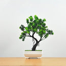 BonsaiInfinity™ 🌿 - Bonsais artificiais premium para decoração sofisticada - Infinitum Express