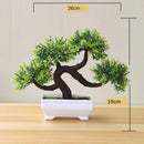 BonsaiInfinity™ 🌿 - Bonsais artificiais premium para decoração sofisticada - Infinitum Express