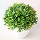 BonsaiInfinity™ 🌿 - Bonsais artificiais premium para decoração sofisticada - Infinitum Express