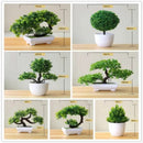 BonsaiInfinity™ 🌿 - Bonsais artificiais premium para decoração sofisticada - Infinitum Express