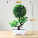 BonsaiInfinity™ 🌿 - Bonsais artificiais premium para decoração sofisticada - Infinitum Express