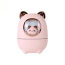 CatMistInfinity™ - Umidificador De Gatinho - Infinitum Express