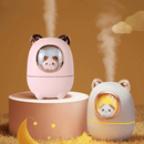 CatMistInfinity™ - Umidificador De Gatinho - Infinitum Express