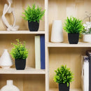 GreenInfinity™ - Planta Decorativa Artificial Premium - Infinitum Express