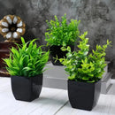 GreenInfinity™ - Planta Decorativa Artificial Premium - Infinitum Express