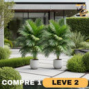 OasisInfinity™ - COMPRE 1 LEVE 2 - Palmeiras artificiais - Infinitum Express